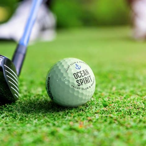 Pinnacle Distance Golf Ball